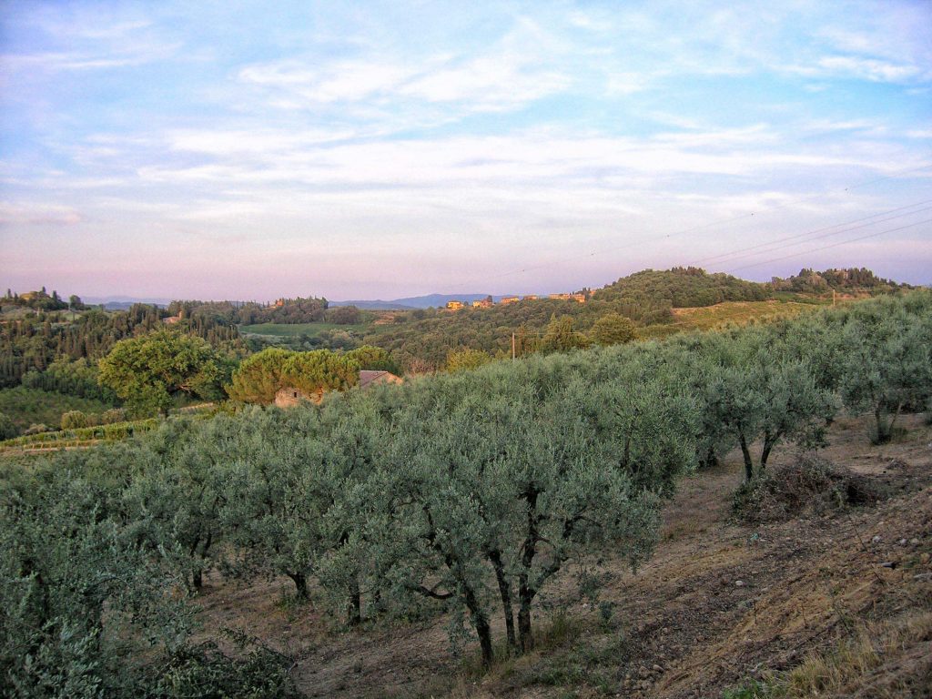 Ciclotour Toscana