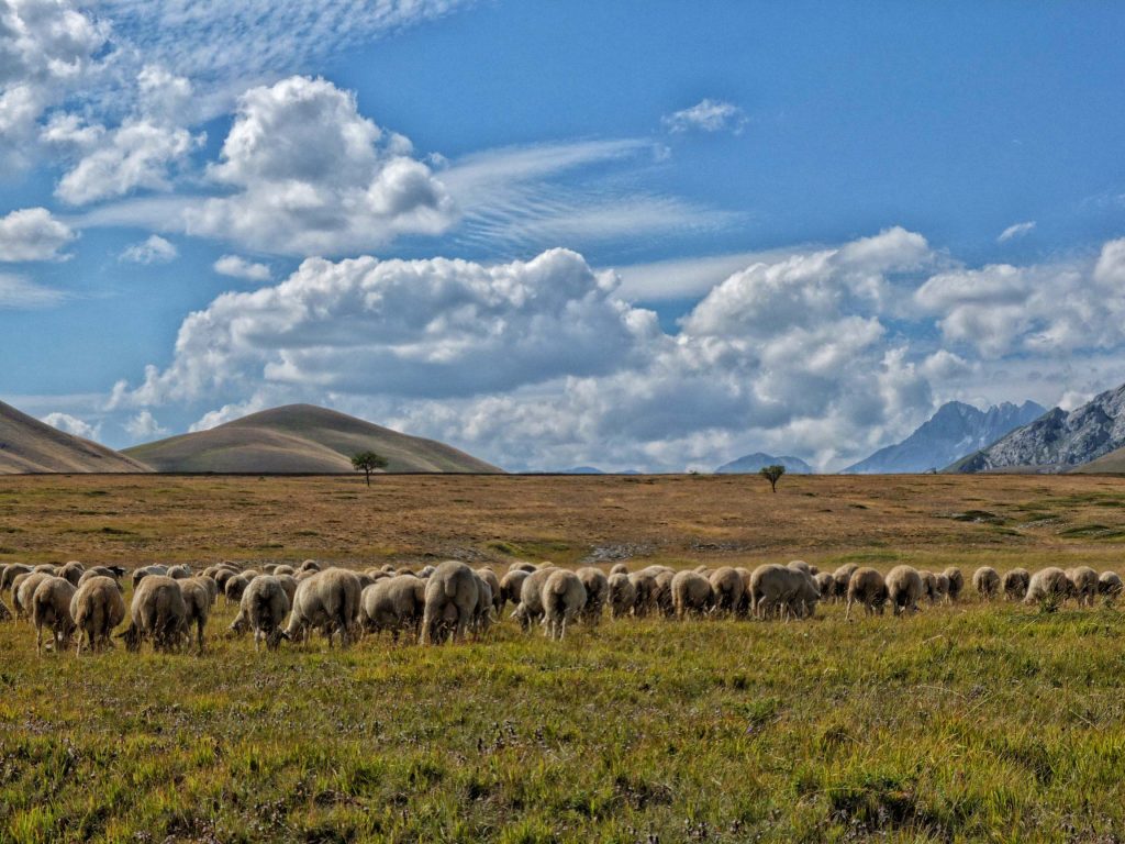 Ciclotour Abruzzo