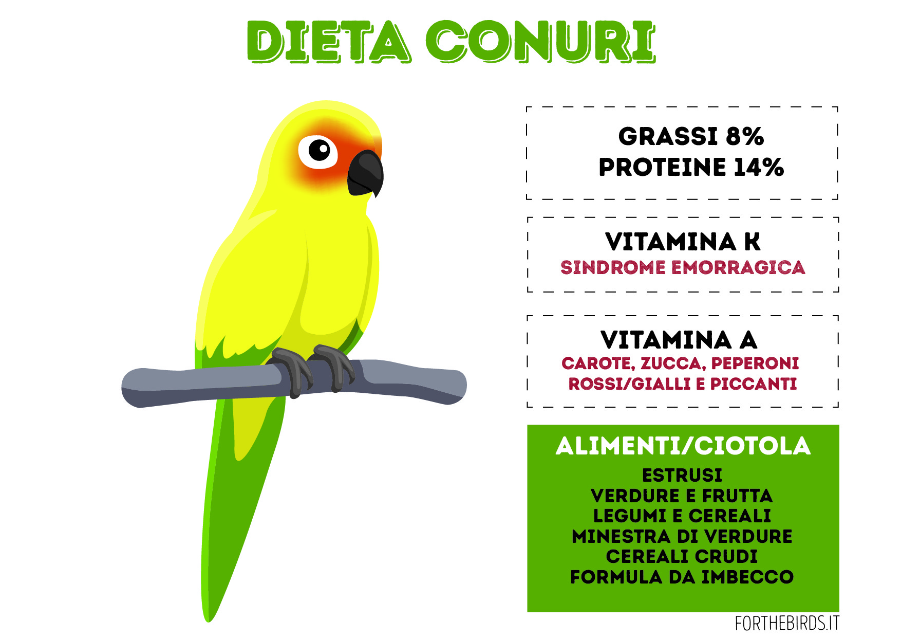 Dieta Conuri