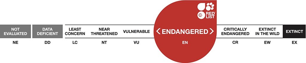 engagered